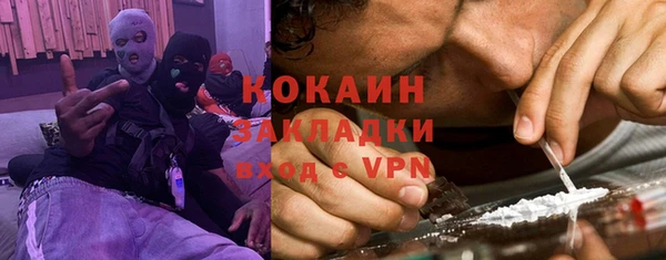 молекула духа Гусев