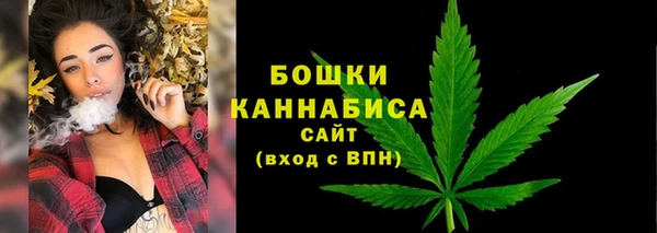 дмт Гусь-Хрустальный