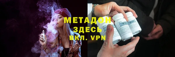 прущие грибы Горняк