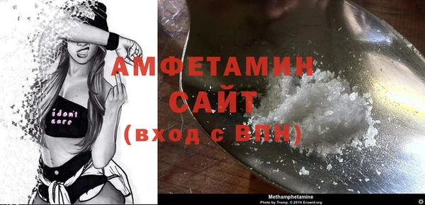 прущие грибы Горняк