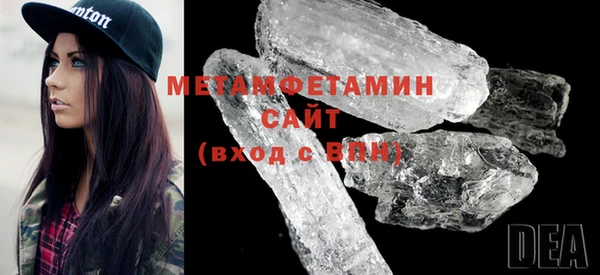 прущие грибы Горняк