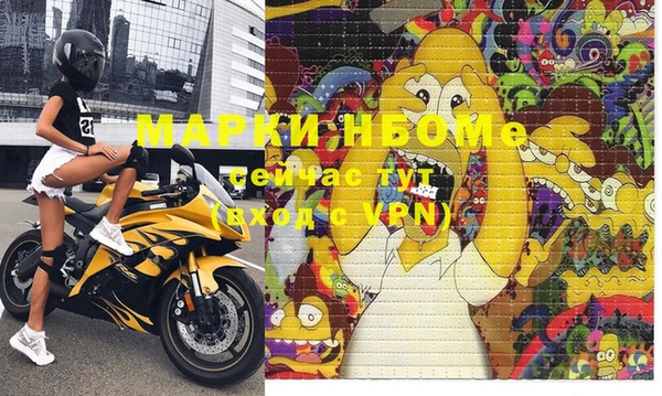 прущие грибы Горняк