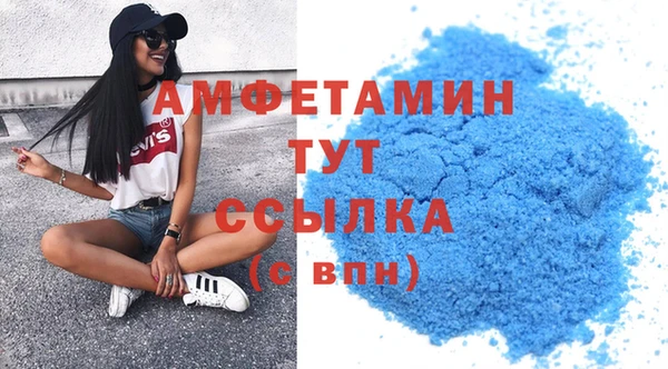 прущие грибы Горняк