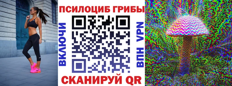 Псилоцибиновые грибы Psilocybine cubensis  kraken зеркало  Петровск-Забайкальский 